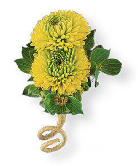 Button chrysanthemums in a shade of tart apple green, for a subtle look.