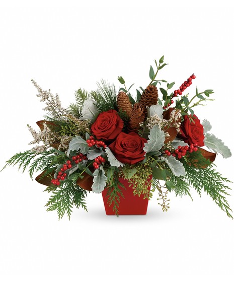 Red roses, white calcynia, dusty miller, flat cedar, white pine, noble fir, magnolia leaves, eucalyptus, red berries and pinecones in a crimson cube